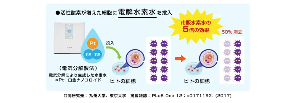 水素水（電解水素水・アルカリイオン水）の効果について