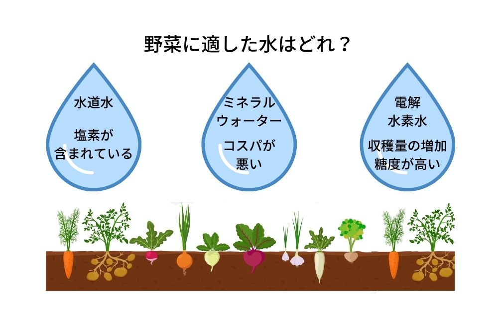 野菜の水やりを楽しむための5つのポイント 水と健康の情報メディア トリム ミズラボ 日本トリム