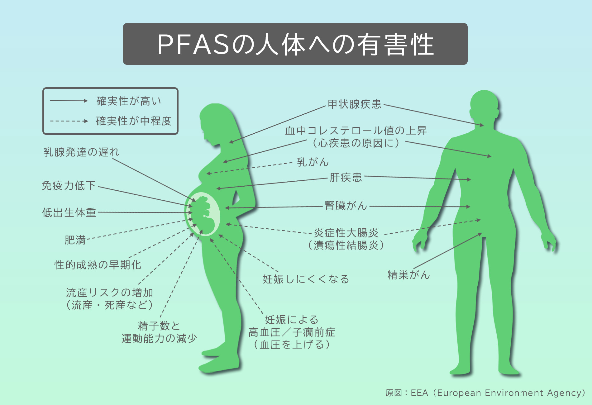 Pfasの人体への影響は？