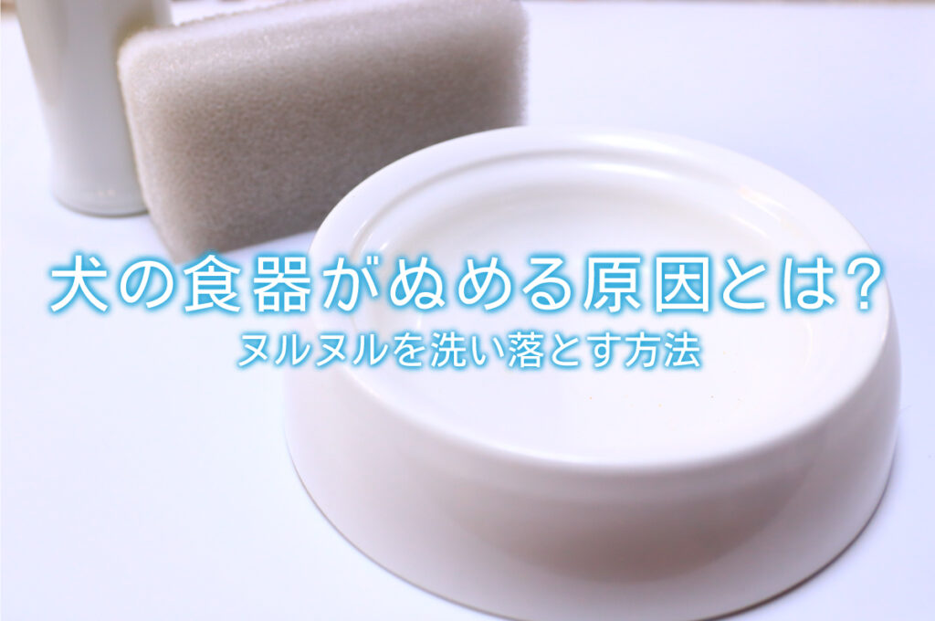 コレクション 犬 食器 洗う 場所